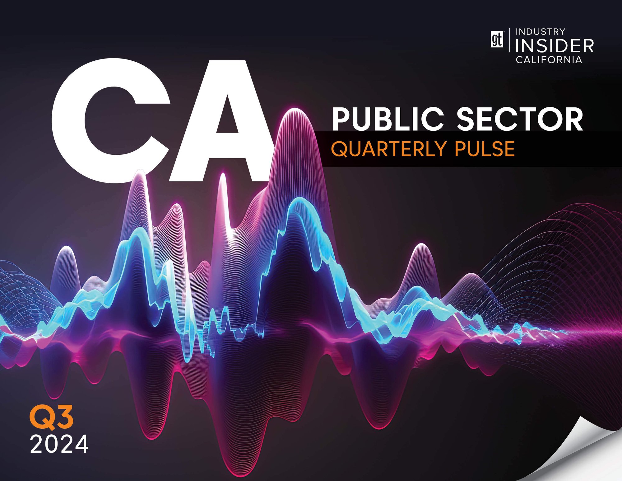 IICA24 Public Sector Quarterly Pulse Q3_cover